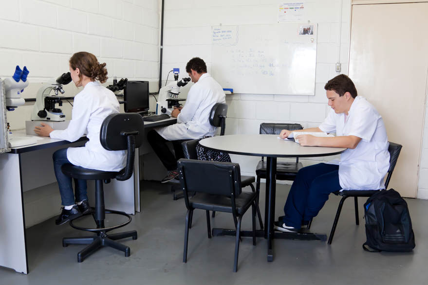 LABORATÓRIOS DE INICIAÇÃO CIENTÍFICA I e II