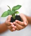 Curso de Engenharia Ambiental é reconhecido pelo CONFEA e CREA-MG