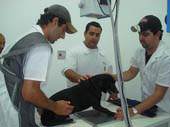 Clínica de Medicina Veterinária ampliará horário de atendimento ao público